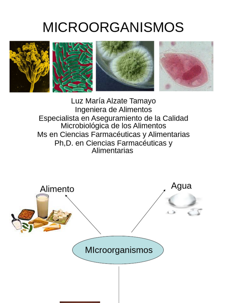Clasificación de Microorganismos en Alimentos | PDF