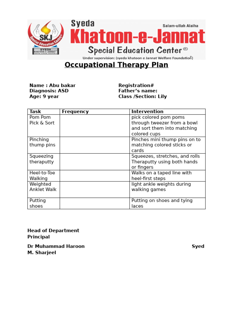 Occupational Therapy Plan | PDF