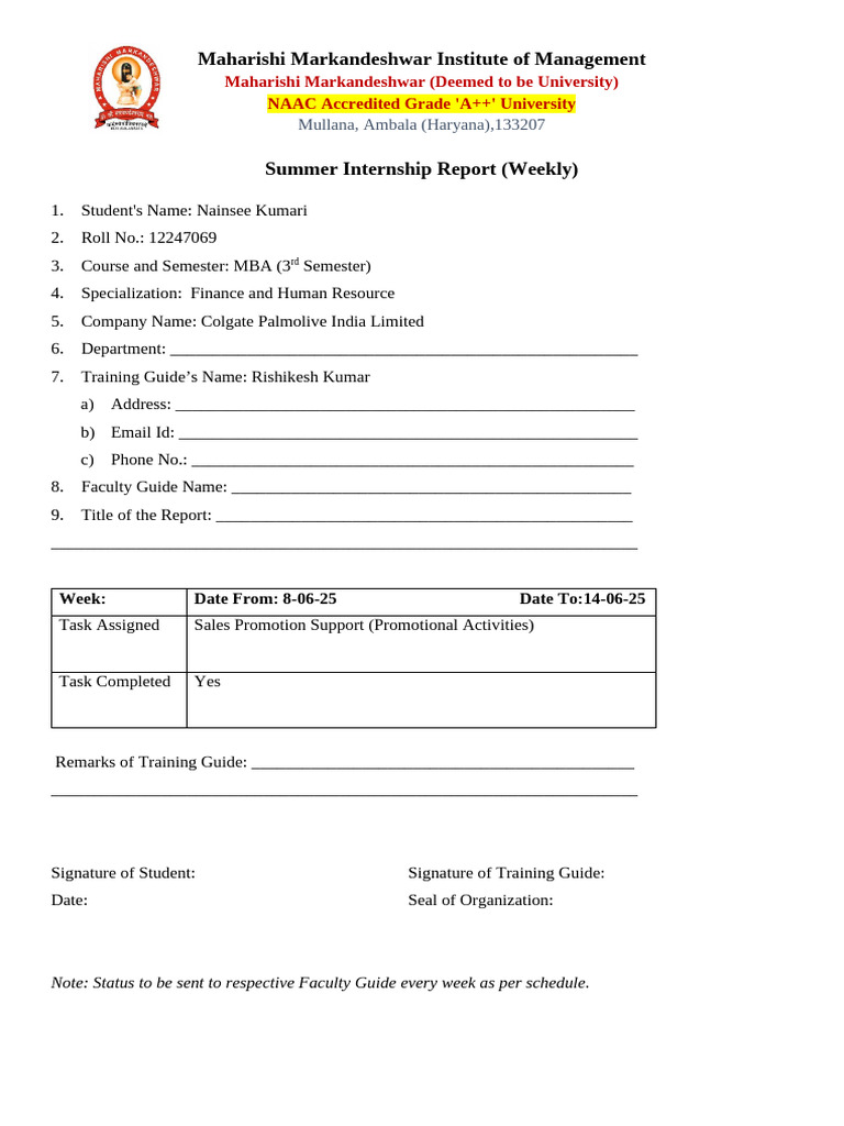 Nainsee 2nd Weekly Report | PDF