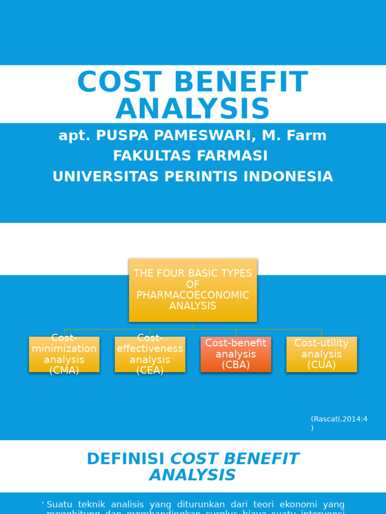 Cost Benefit Analysis | PDF