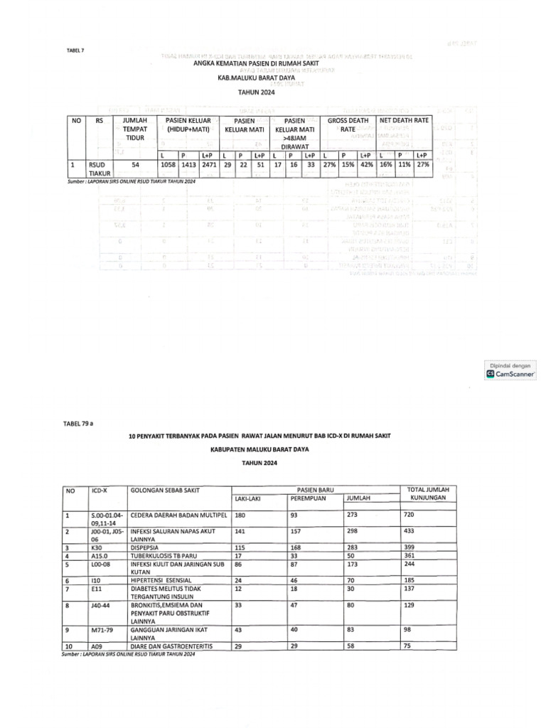 Data Profil RSUD 2024 | PDF