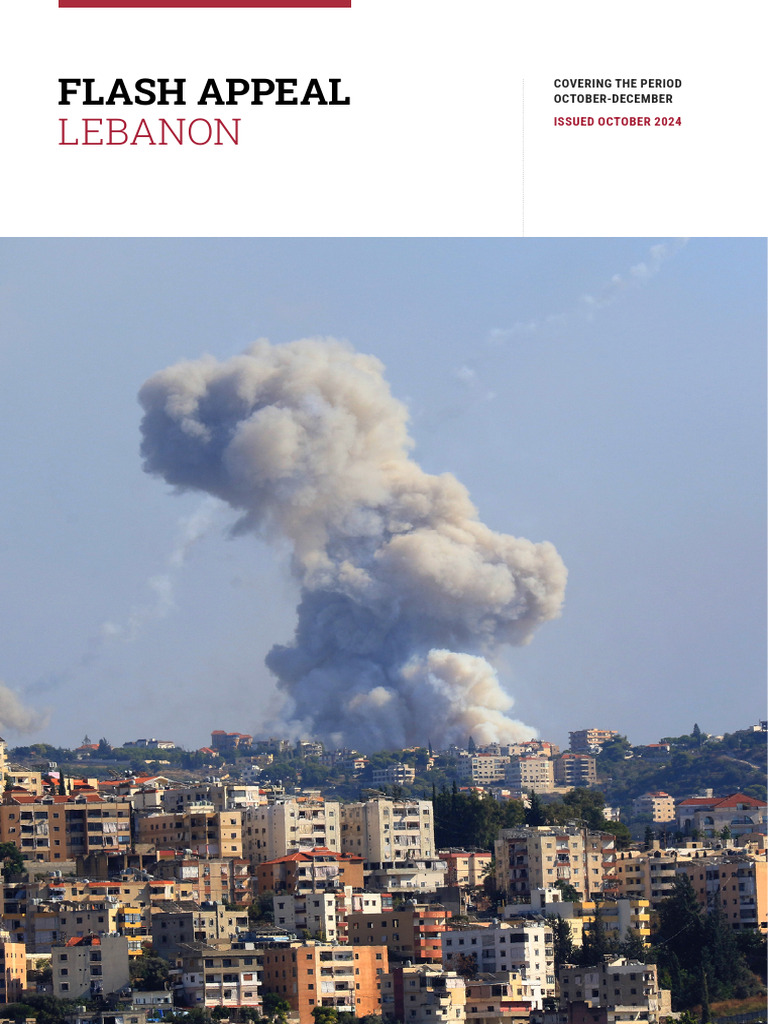 UN Lebanon Flash Appeal | PDF | Lebanon | Refugee
