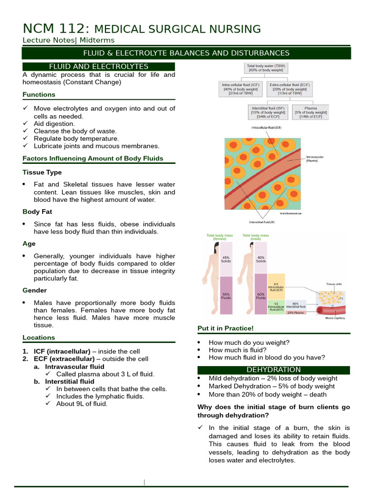 Fluid & Electrolyte Balances and Disturbances | PDF | Angiotensin ...