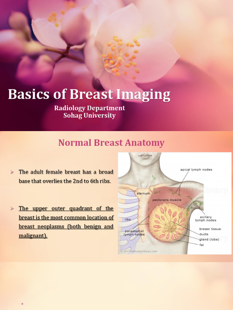 Breast Imaging Techniques and Guidelines | PDF | Mammography | Breast ...