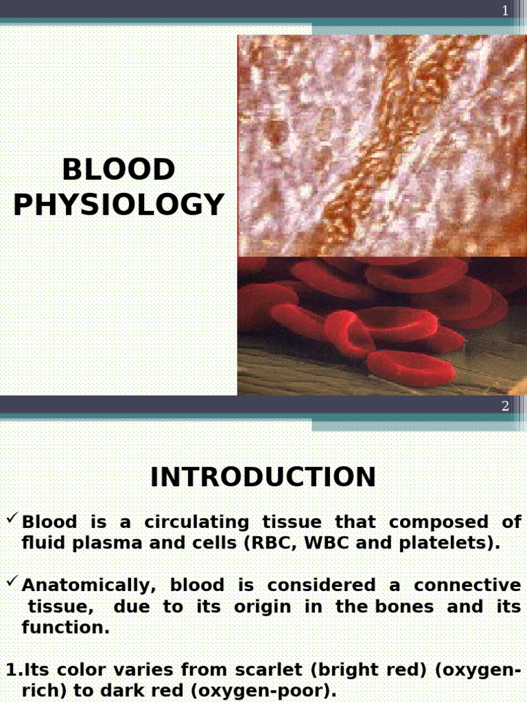 Blood Physiology and Functions Explained | PDF | Blood Type | Granulocyte