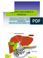 Absorcion Gastrointestinal