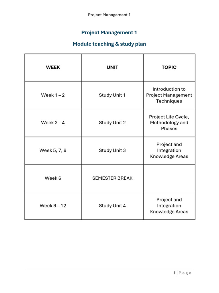 Project Management Techniques Overview | PDF | Project Management ...
