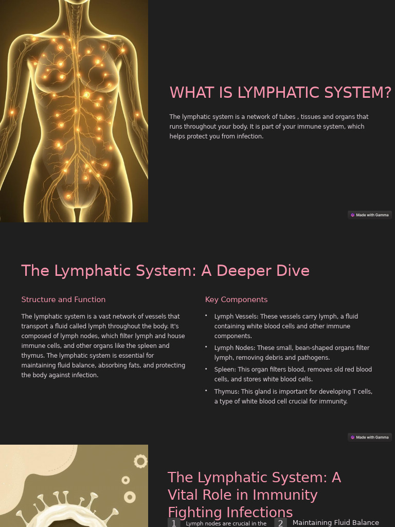 Understanding the Lymphatic System | PDF | Lymphatic System | Human Body
