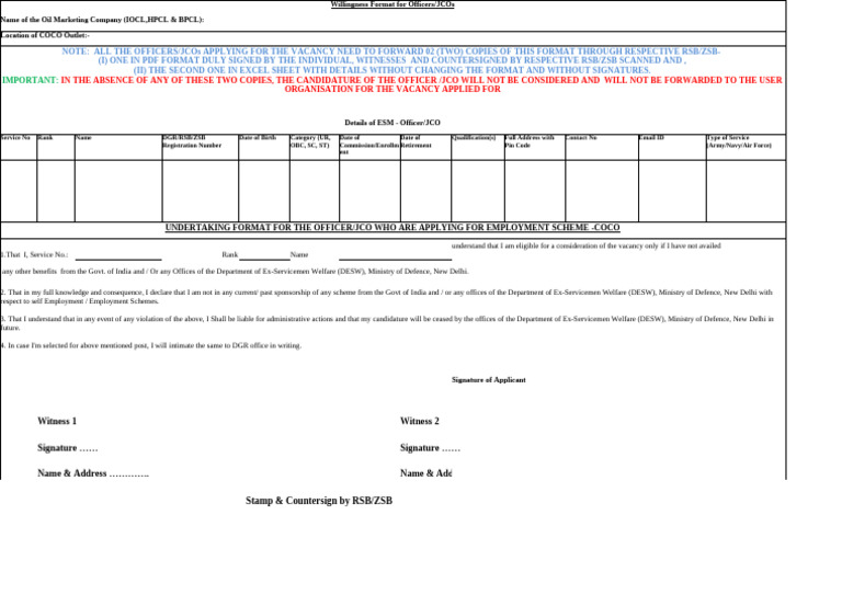 Employment Application Format for ESM | PDF