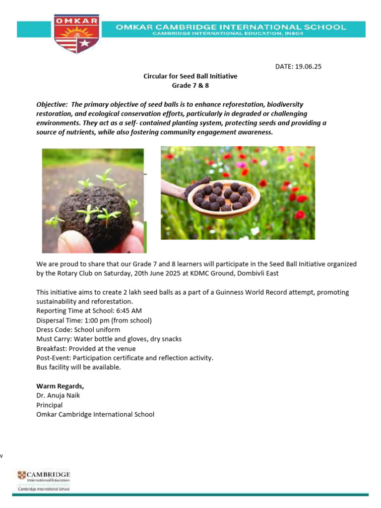 Seed Ball Initiative | PDF