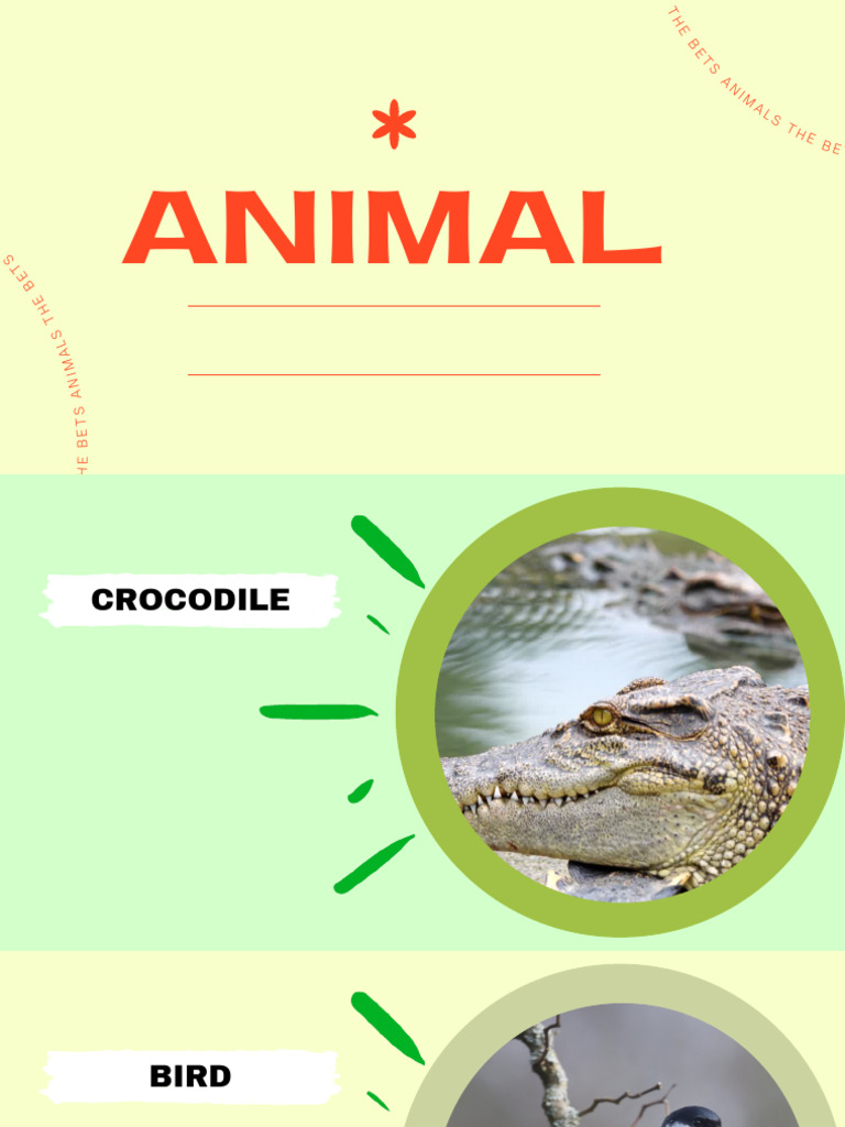 Best Animals Overview | PDF