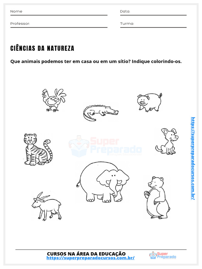 Cursos de Ciências da Natureza e Educação | PDF | Natureza | Educação ...