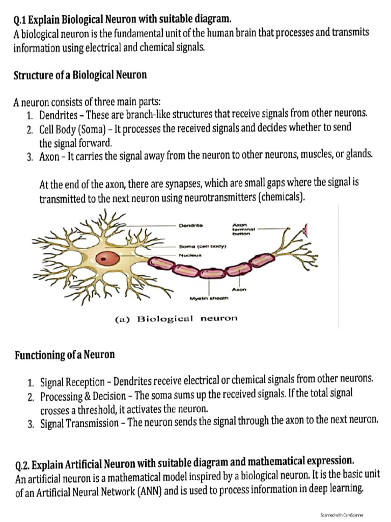 Deep Learning 250503 | PDF