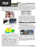 48539959 Enem Genetica 15 Heranca Quantitativa