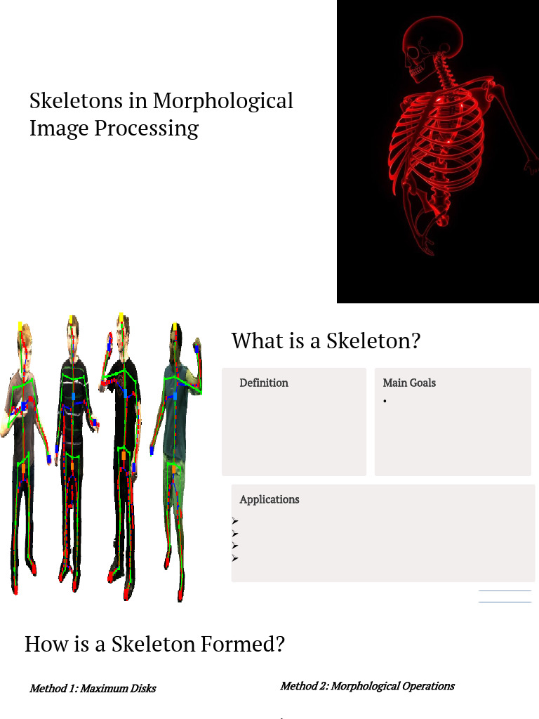 Skeletonization in Image Processing | PDF | Shape | Multidimensional ...