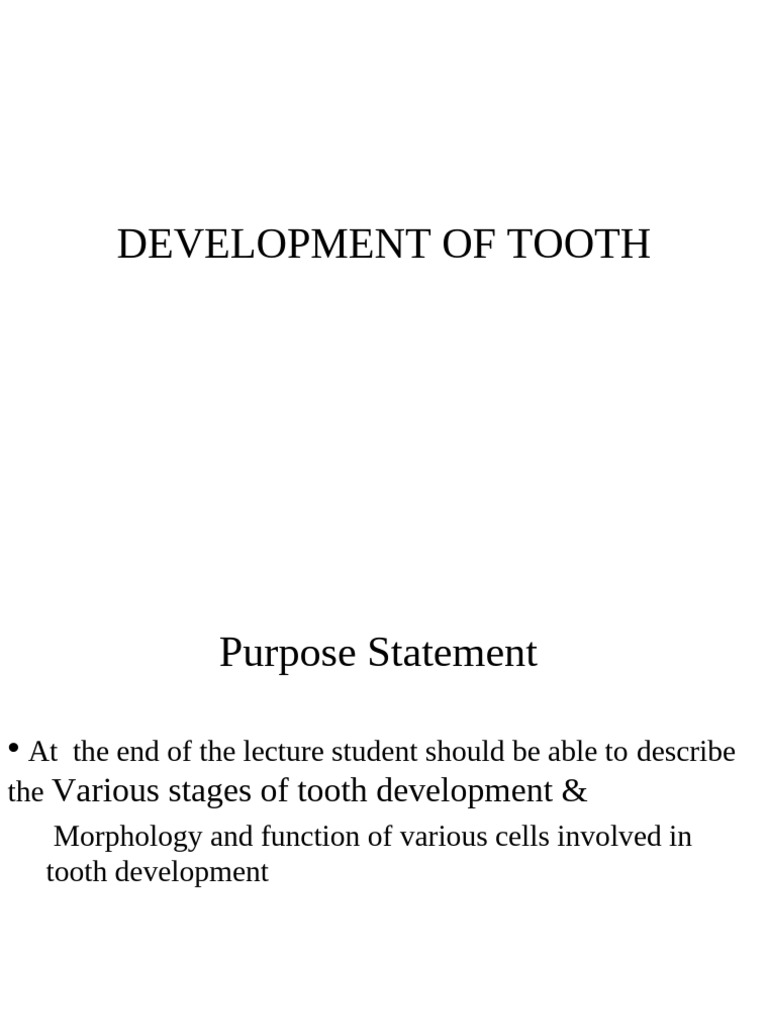 Development of Tooth 1 | PDF | Epithelium | Morphology (Biology)