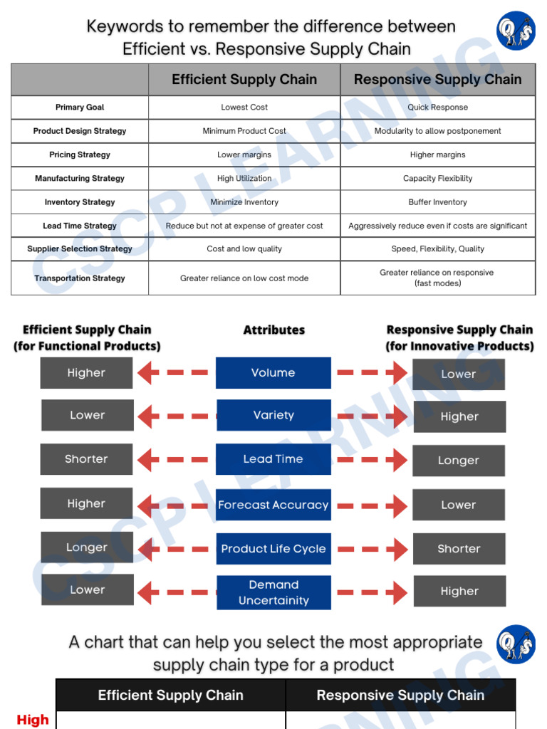 Efficient vs Responsive Supply Chains | PDF