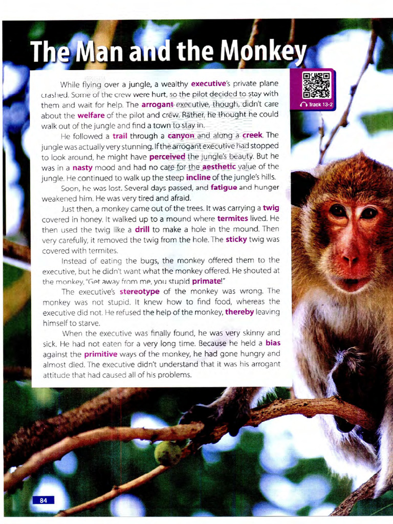 Monkey | PDF