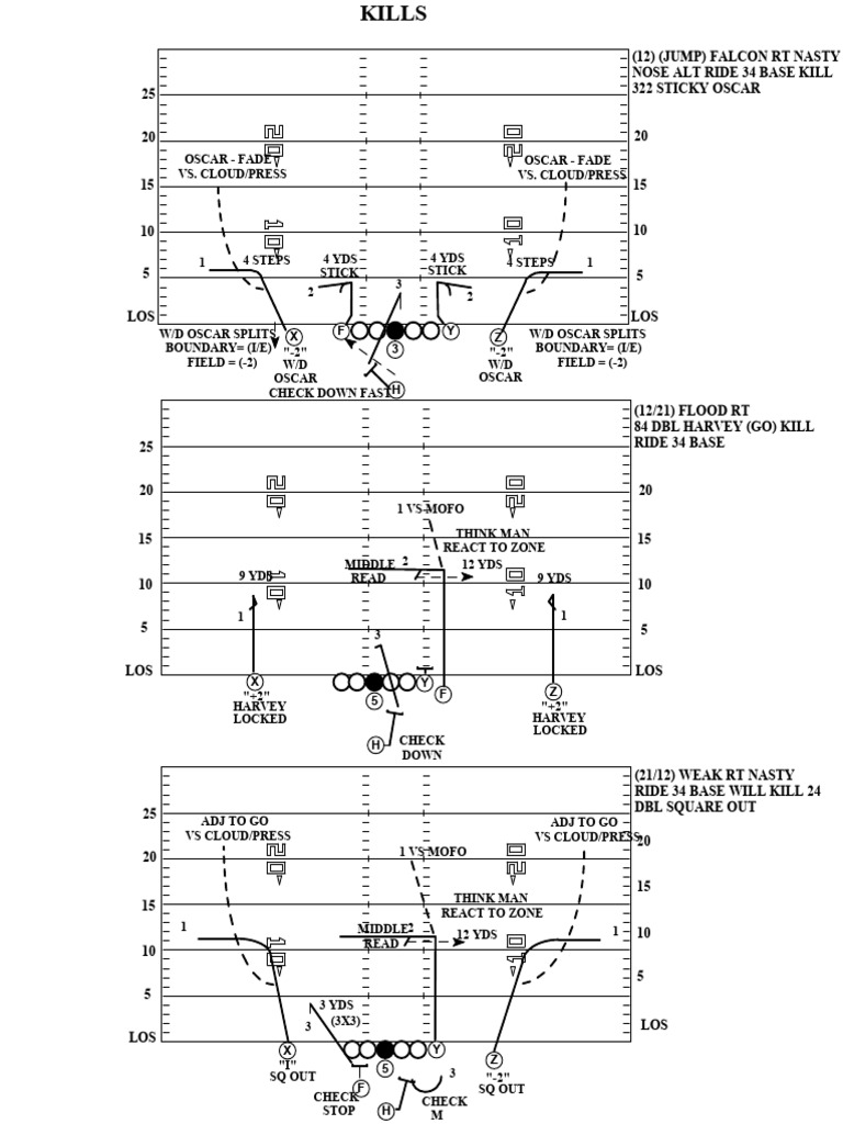 Football Playbook Strategies and Signals | PDF
