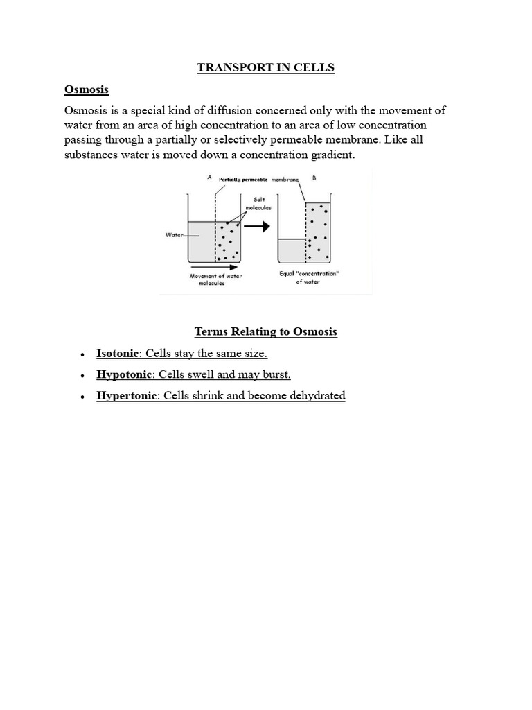 Understanding Osmosis and Diffusion in Cells | PDF | Osmosis | Diffusion