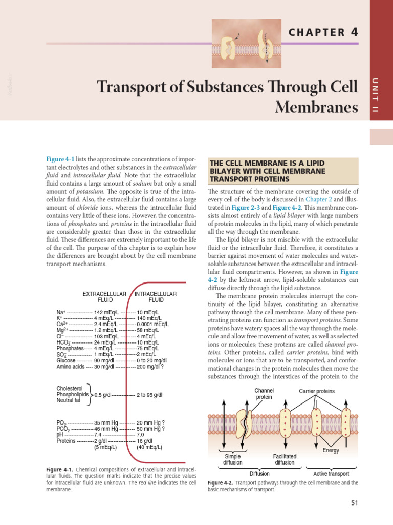Cell Membrane Transport Mechanisms | PDF | Ion Channel | Cell Membrane