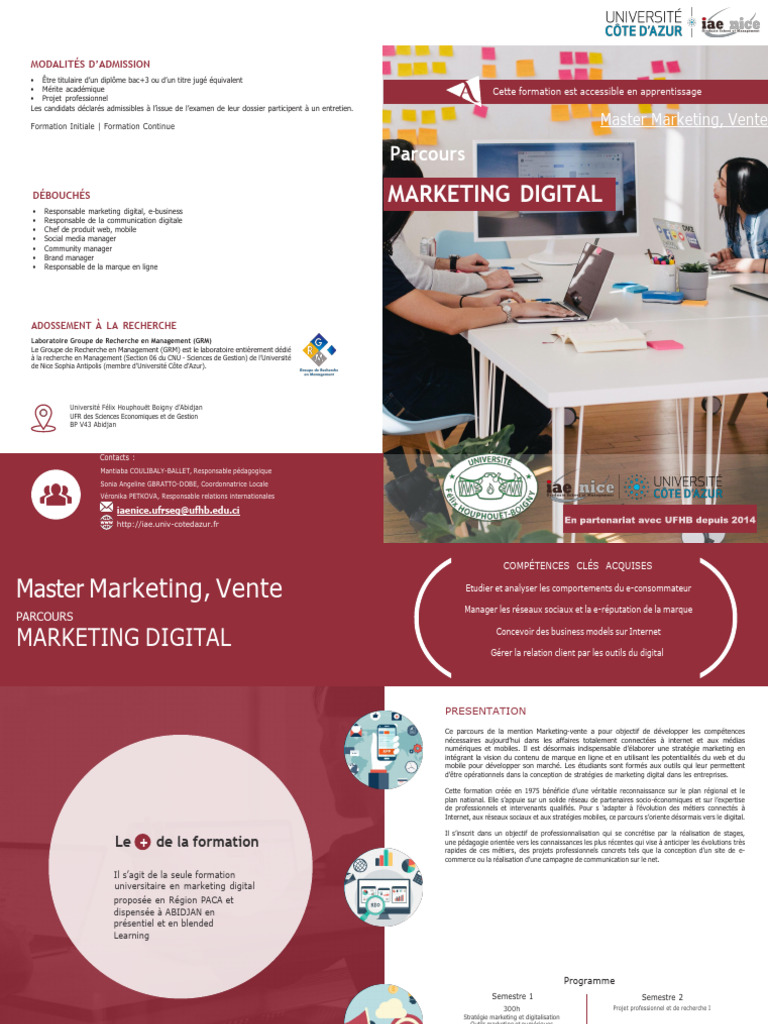 Master Marketing Digital : Admission et Débouchés | PDF ...