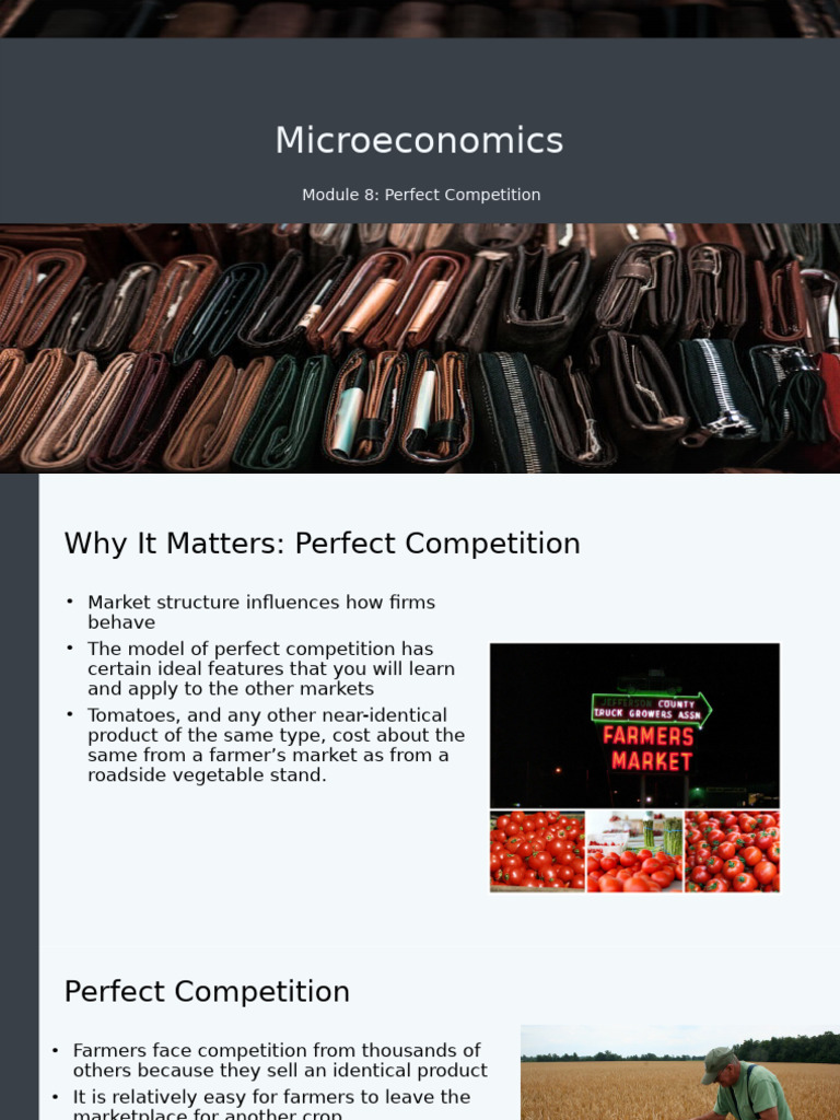 Understanding Perfect Competition | PDF | Profit (Economics) | Perfect ...