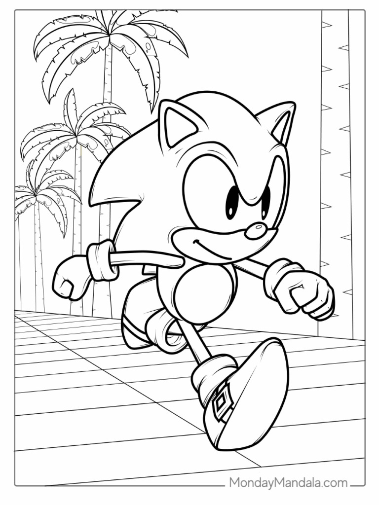 Running Sonic in Video Game | PDF