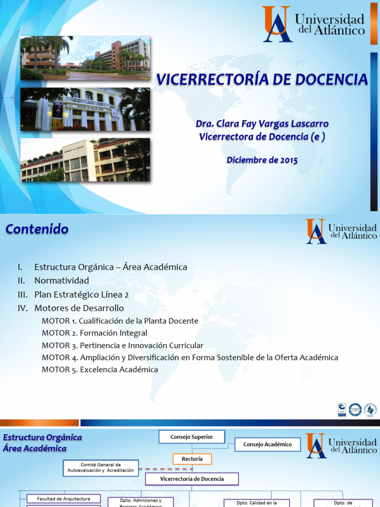 Vice Doc Present Gral | PDF | Plan de estudios | Aprendizaje