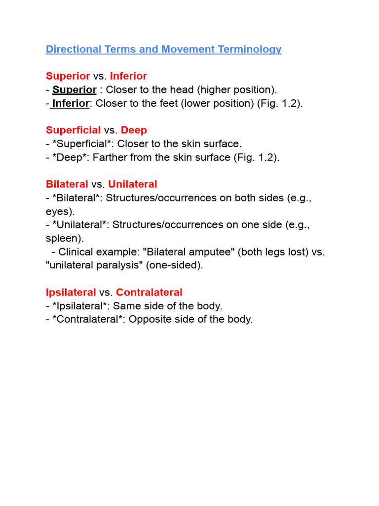 Superior Inferior | PDF | Anatomical Terms Of Motion | Anatomical Terms ...