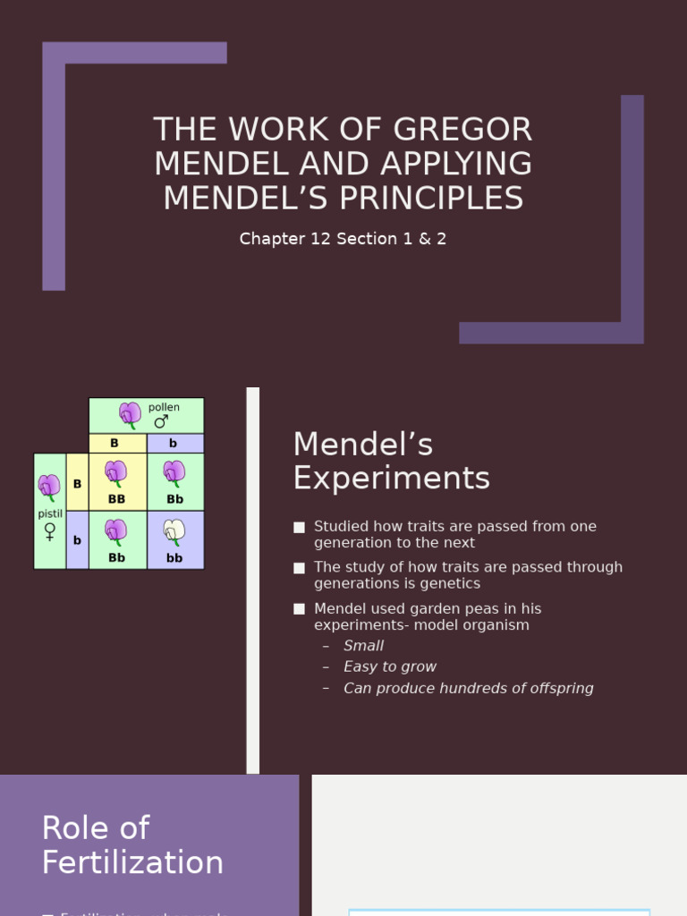 4 - 12.1 and 12.2 - Genetics - Canvas 2 | PDF | Dominance (Genetics ...