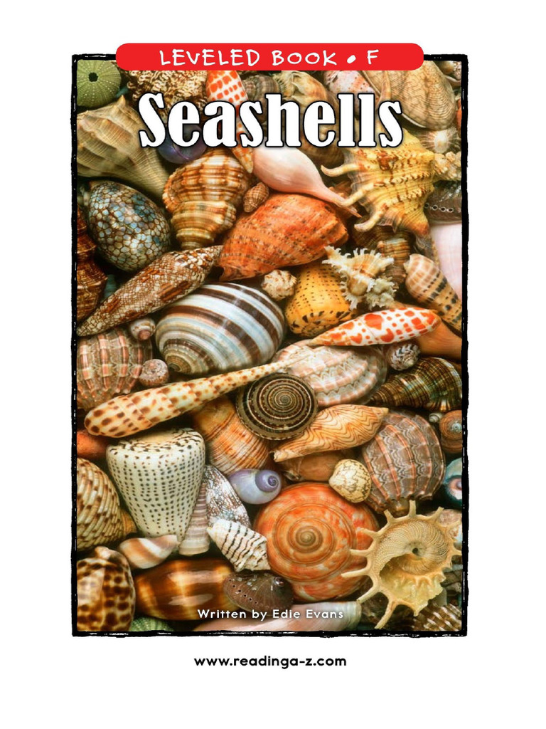 11 Seashells | PDF