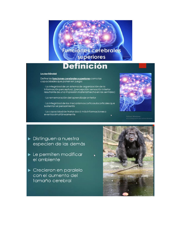 Clase 04-04-23 | PDF