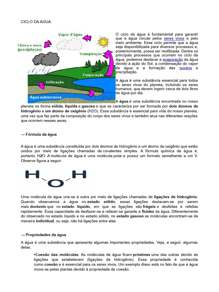 Fundo Fluxograma Do Ciclo Da água Com Diagrama Educacional De Precipitação  De Condensação De Evaporação, Ciclo Da água, Evaporação, Precipitação  Imagem de plano de fundo para download gratuito, image size:768x1024
