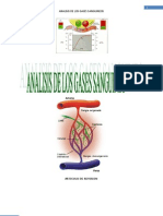 Analisis de Los Gases Sanguineos