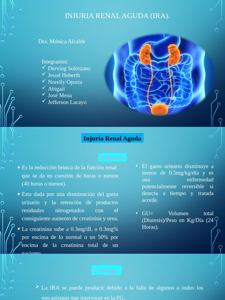 Ira 1 | PDF | Riñón | Trombo