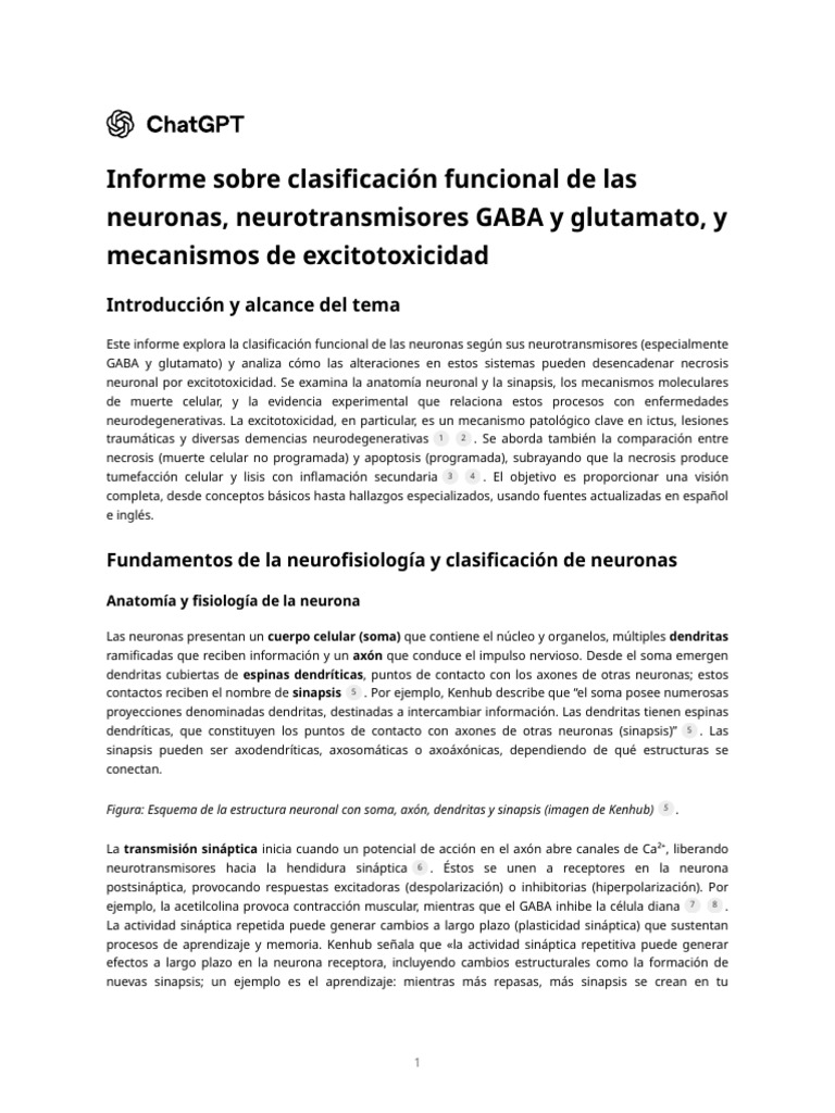 Clasificación de Neuronas y Excitotoxicidad | PDF | Sinapsis | Neurona