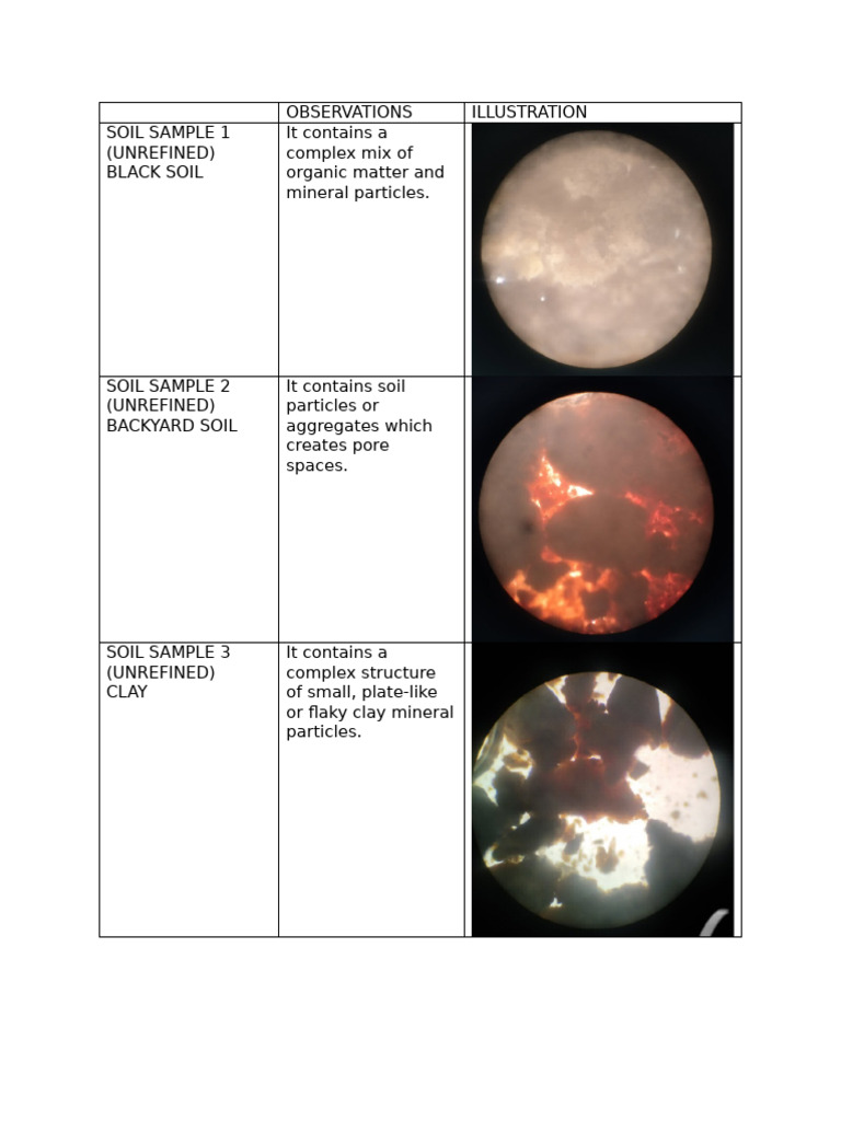Soil Sample Analysis: Types & Properties | PDF