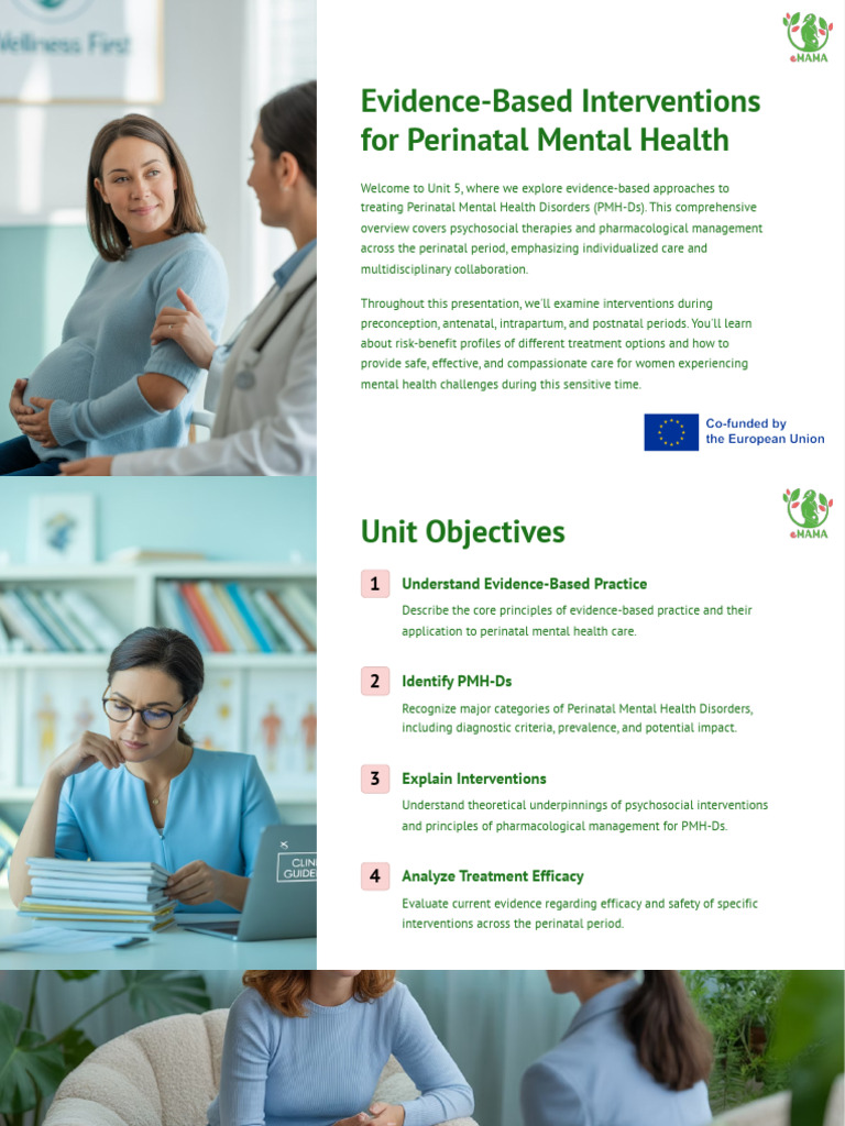 Perinatal Mental Health Interventions Guide | PDF | Mental Health ...