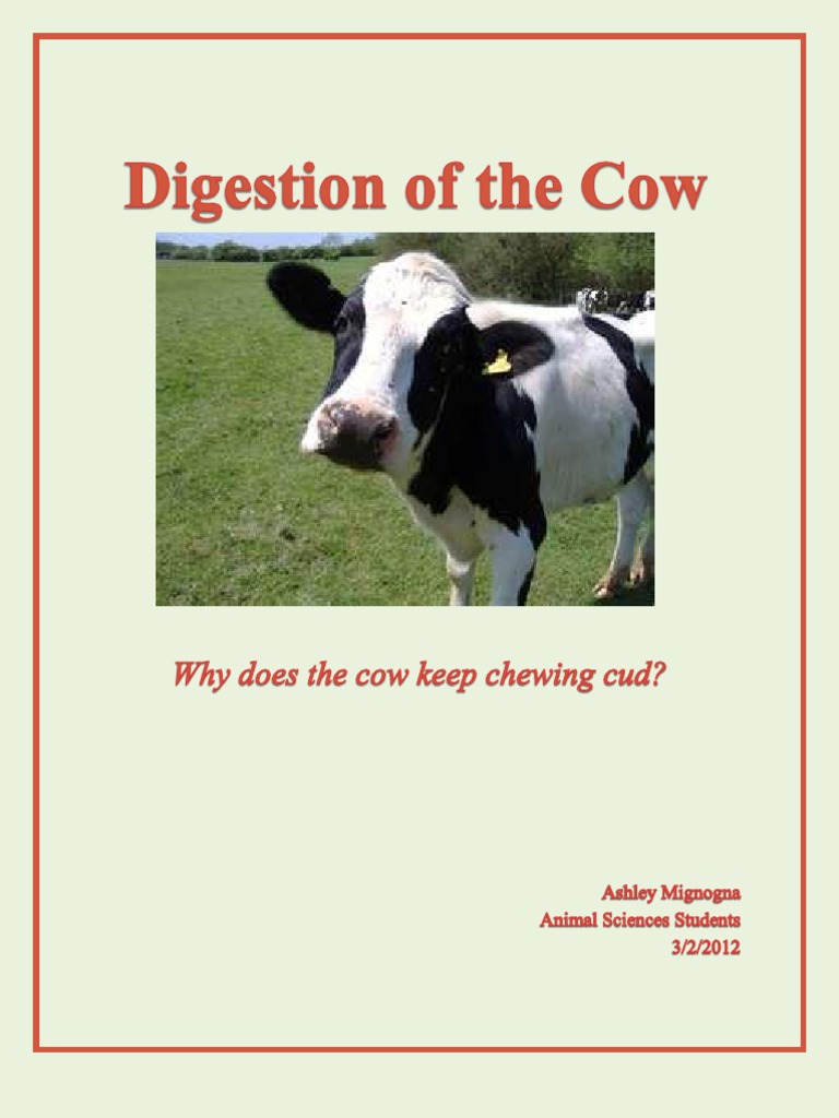 Technical Description Paper | PDF