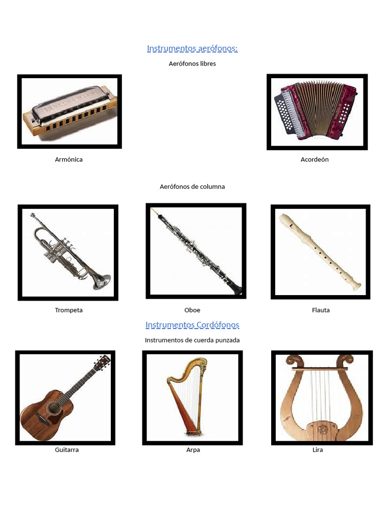 Instrument Os | PDF