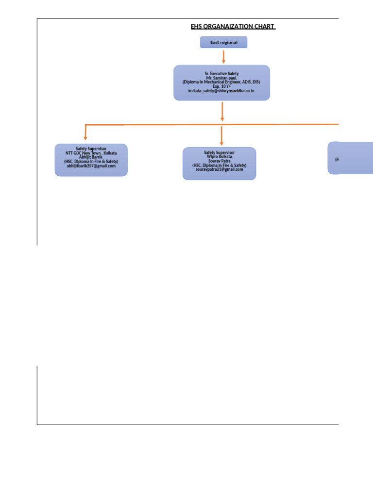EHS Organization Chart Overview | PDF