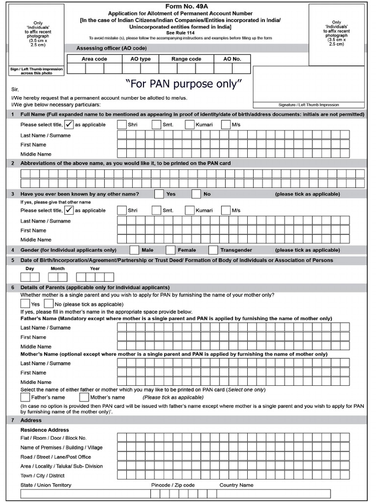 A-Pan New Form 49A | PDF