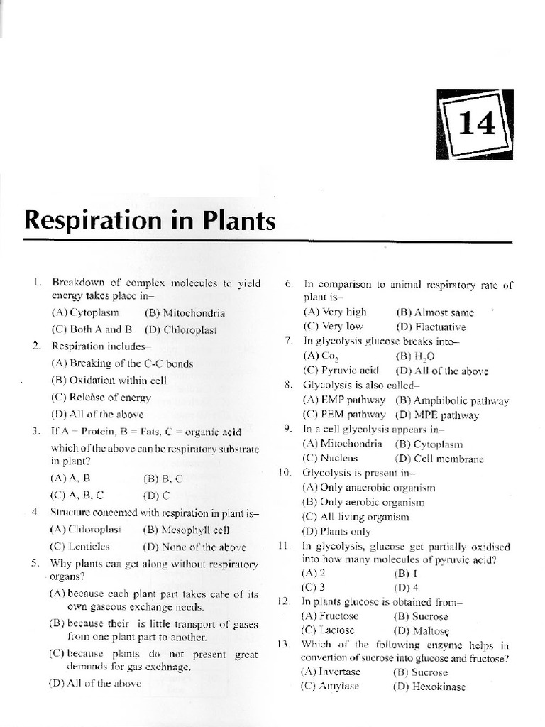 Respiration in Plants | PDF