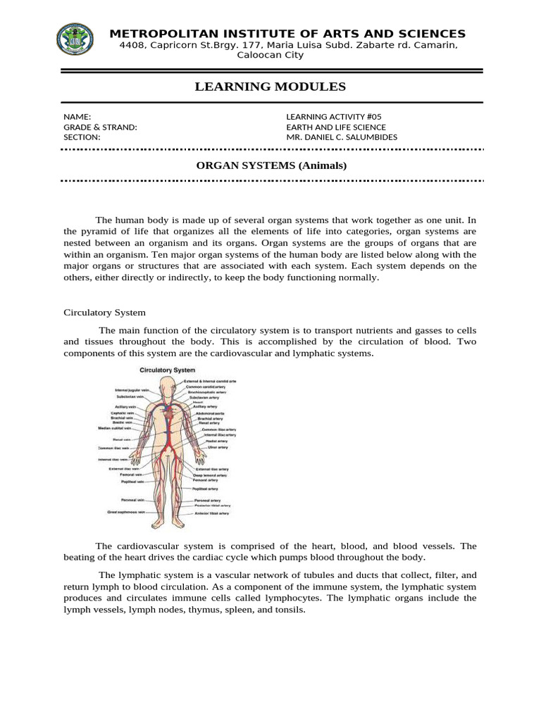 Human Organ Systems Overview | PDF | Human Body | Lymphatic System