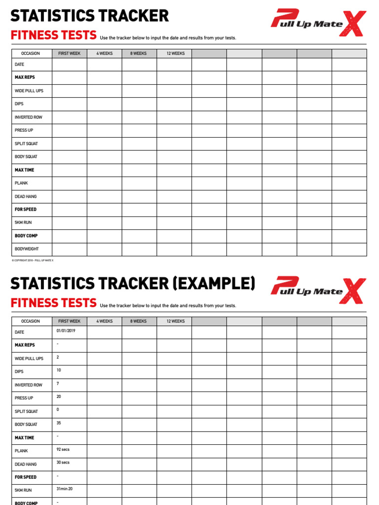 Men's Statistics Tracker | PDF