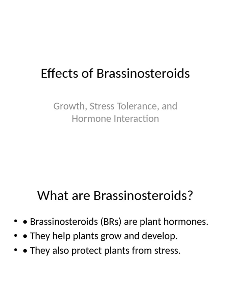 Effects of Brassinosteroids | PDF