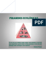 Pirâmides ecológicas 2