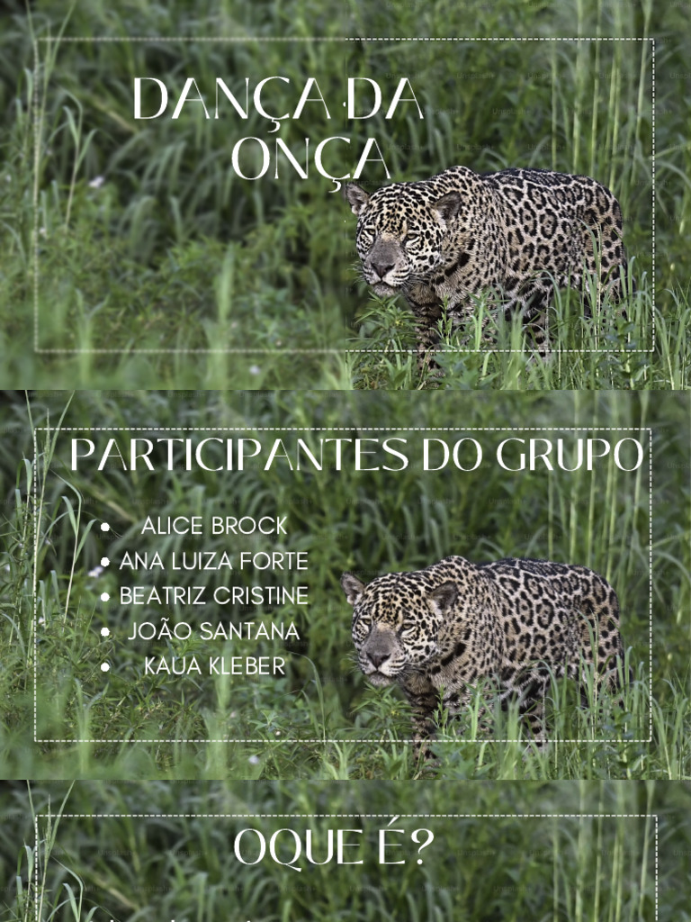 Dança da Onça: Ritual Indígena Bororo | PDF