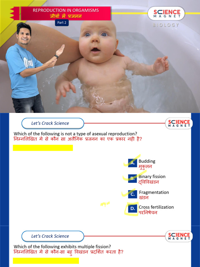 Reproduction 2 | PDF